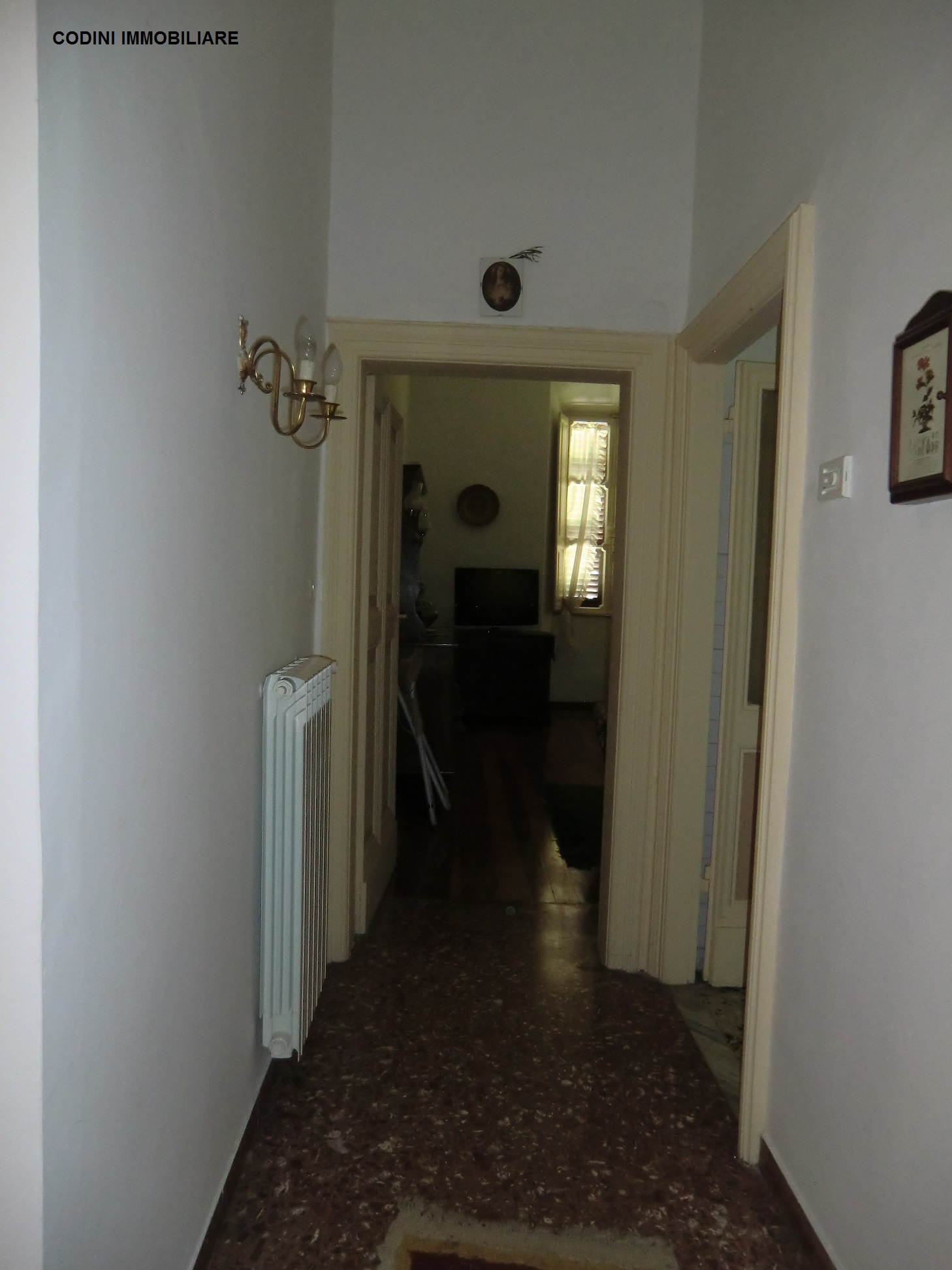 CIMG4653