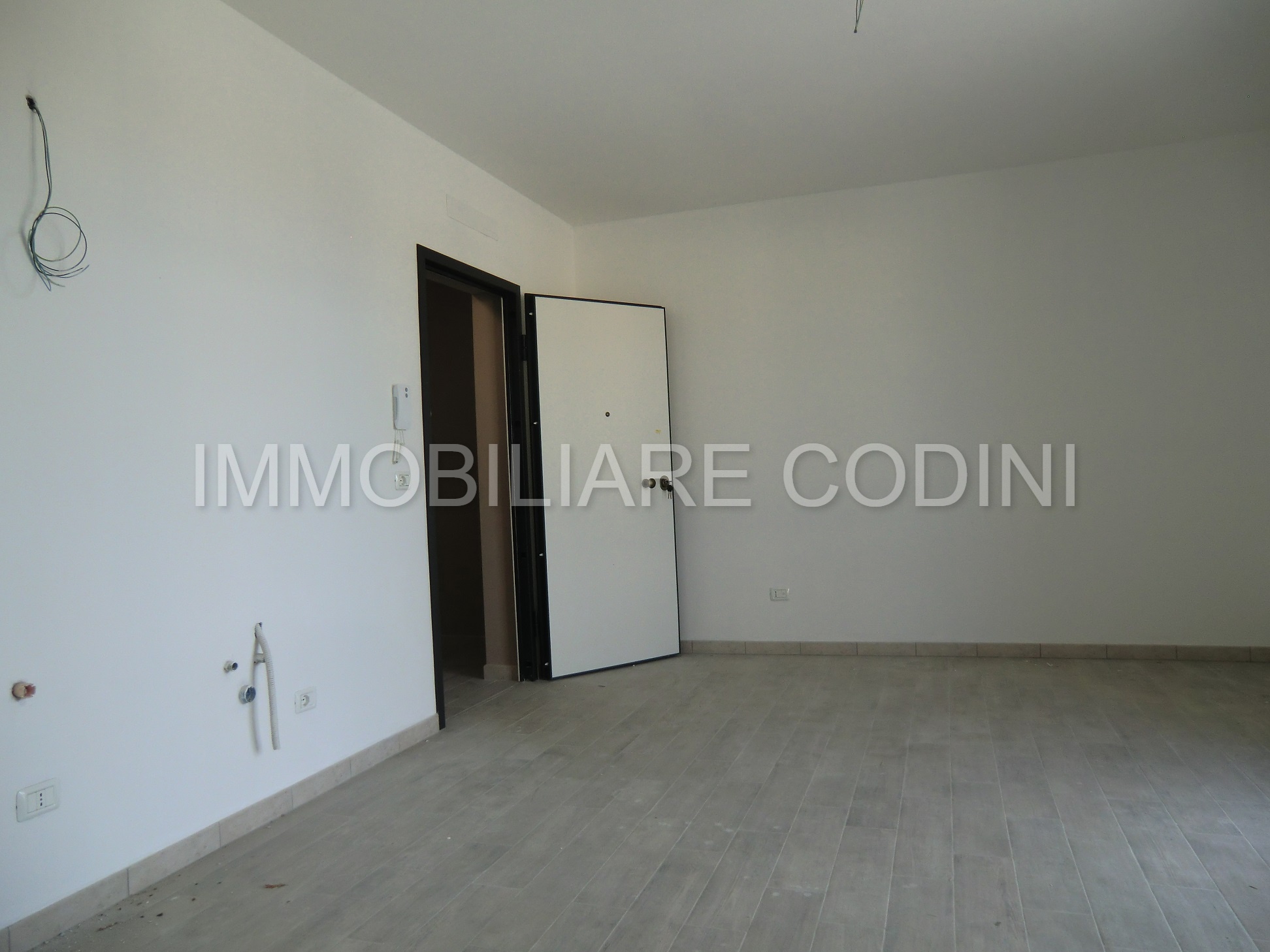CIMG0259