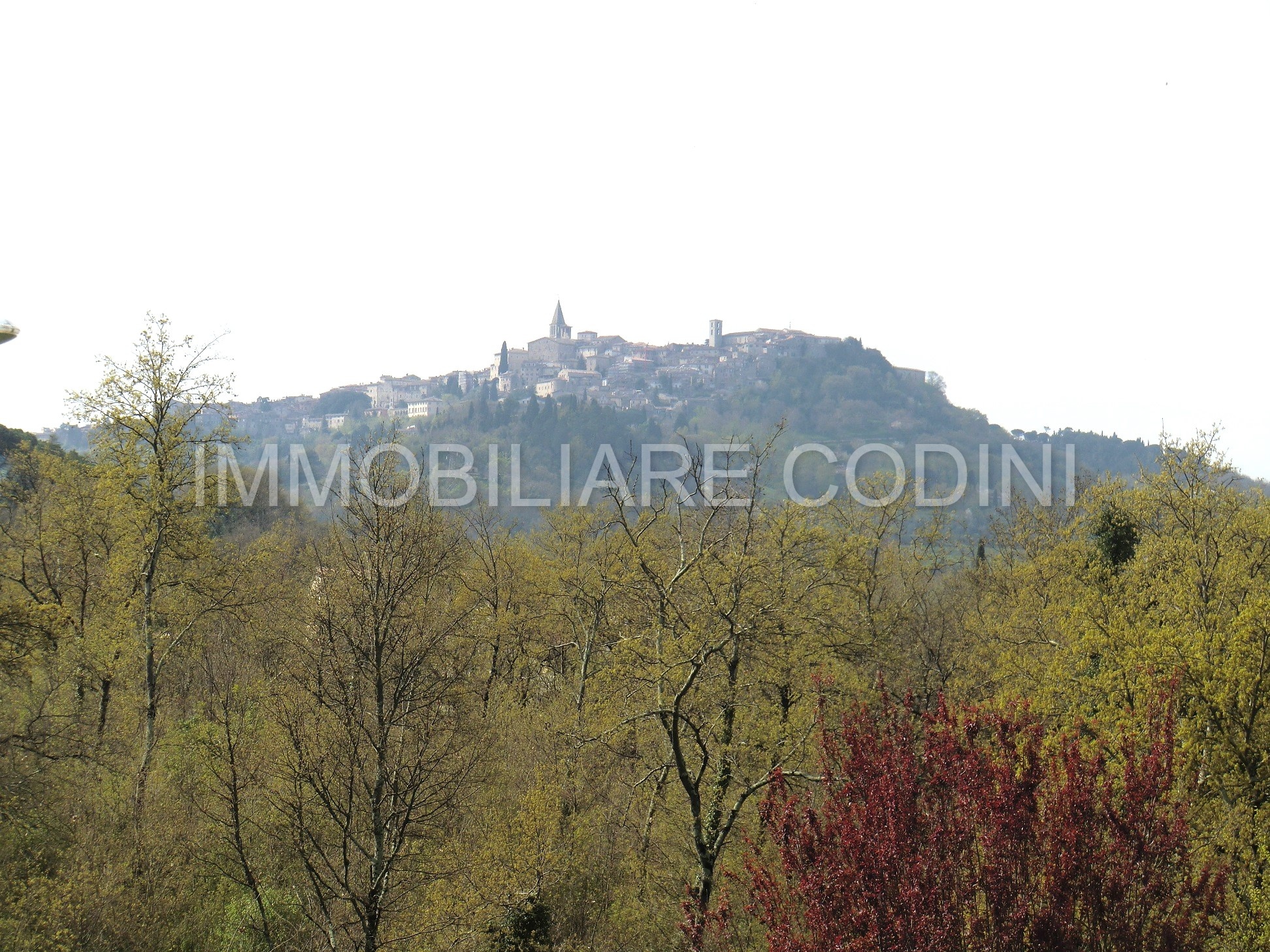 CIMG0279